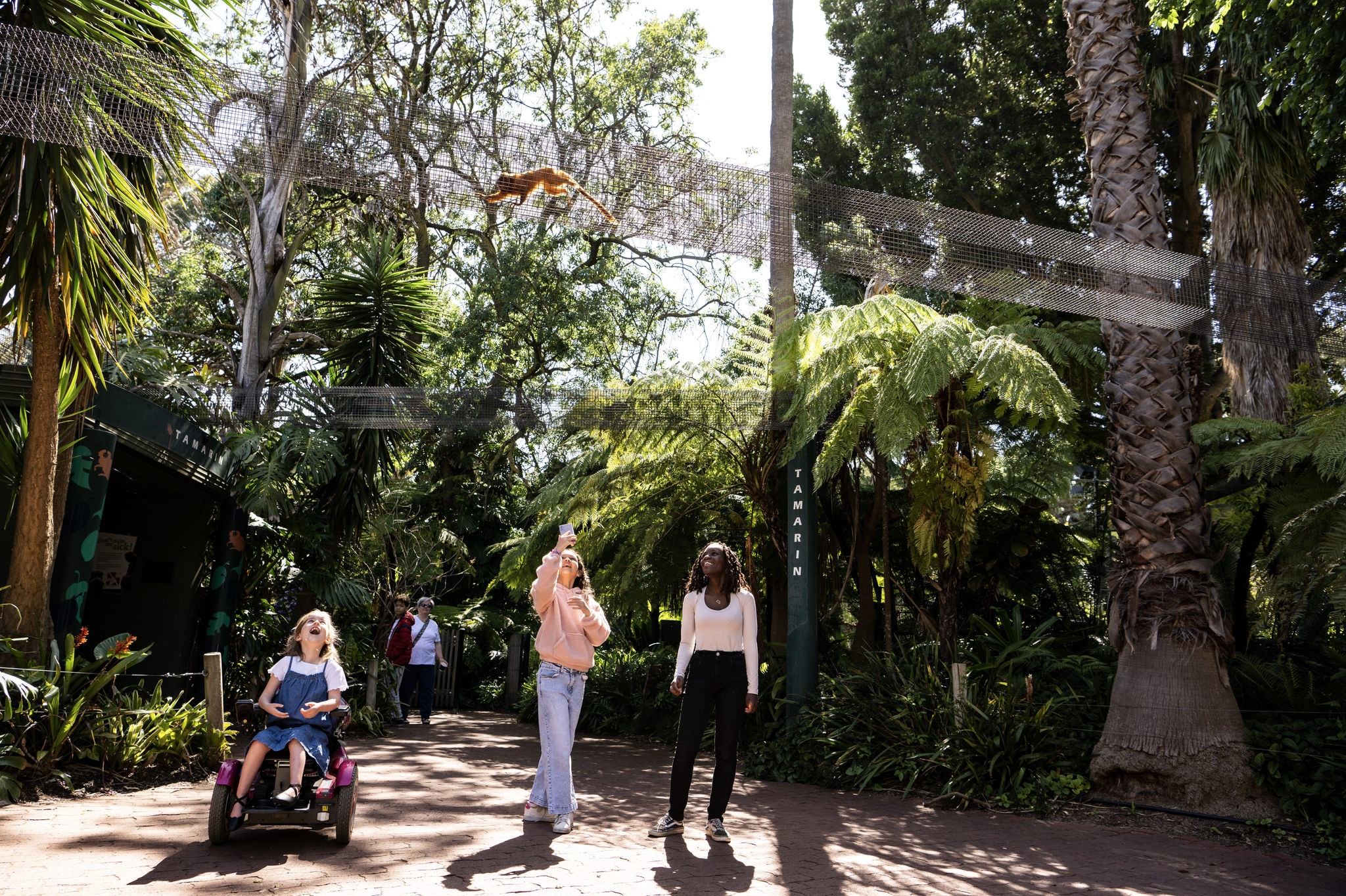 Three visitors to Adelaide Zoo on a footpath watching a tamarin in an enclosed catwalk above them. Tourism Australia / South Australia Tourism Commission