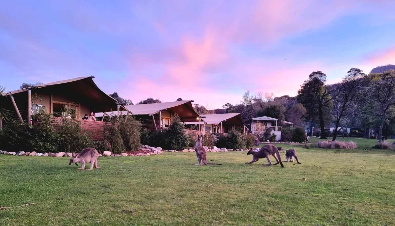 With upgraded bathrooms and new solar panels, Halls Gap Lakeside Tourist Park is set to leave a long-term legacy.