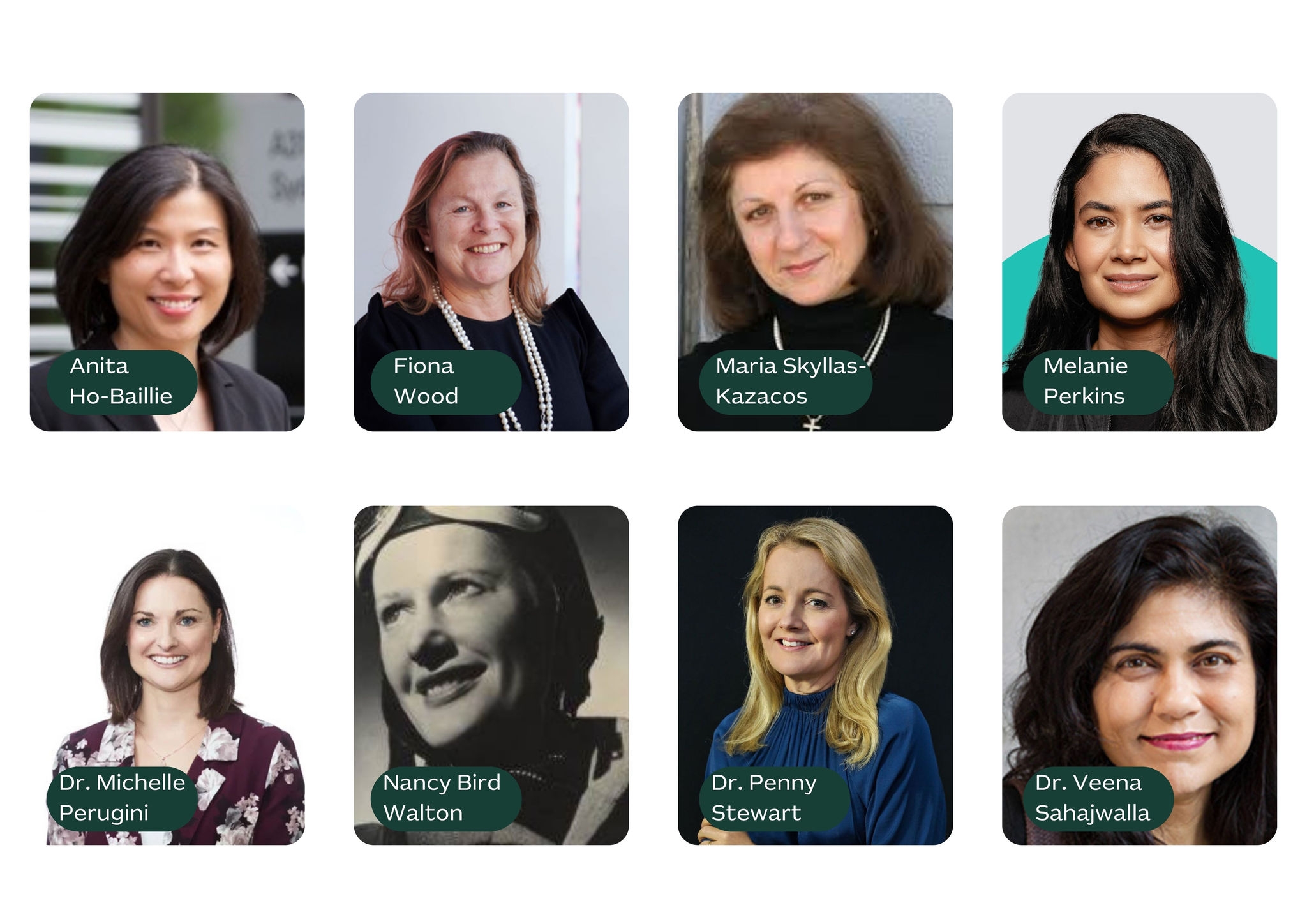 Professor Anita Ho-Baillie, Professor Fiona Wood, Professor Maria Skyllas-Kazacos, Melanie Perkins, Dr. Michelle Perugini, Nancy Bird Walton, Dr Penny Stewart and Dr Veena Sahajwalla.