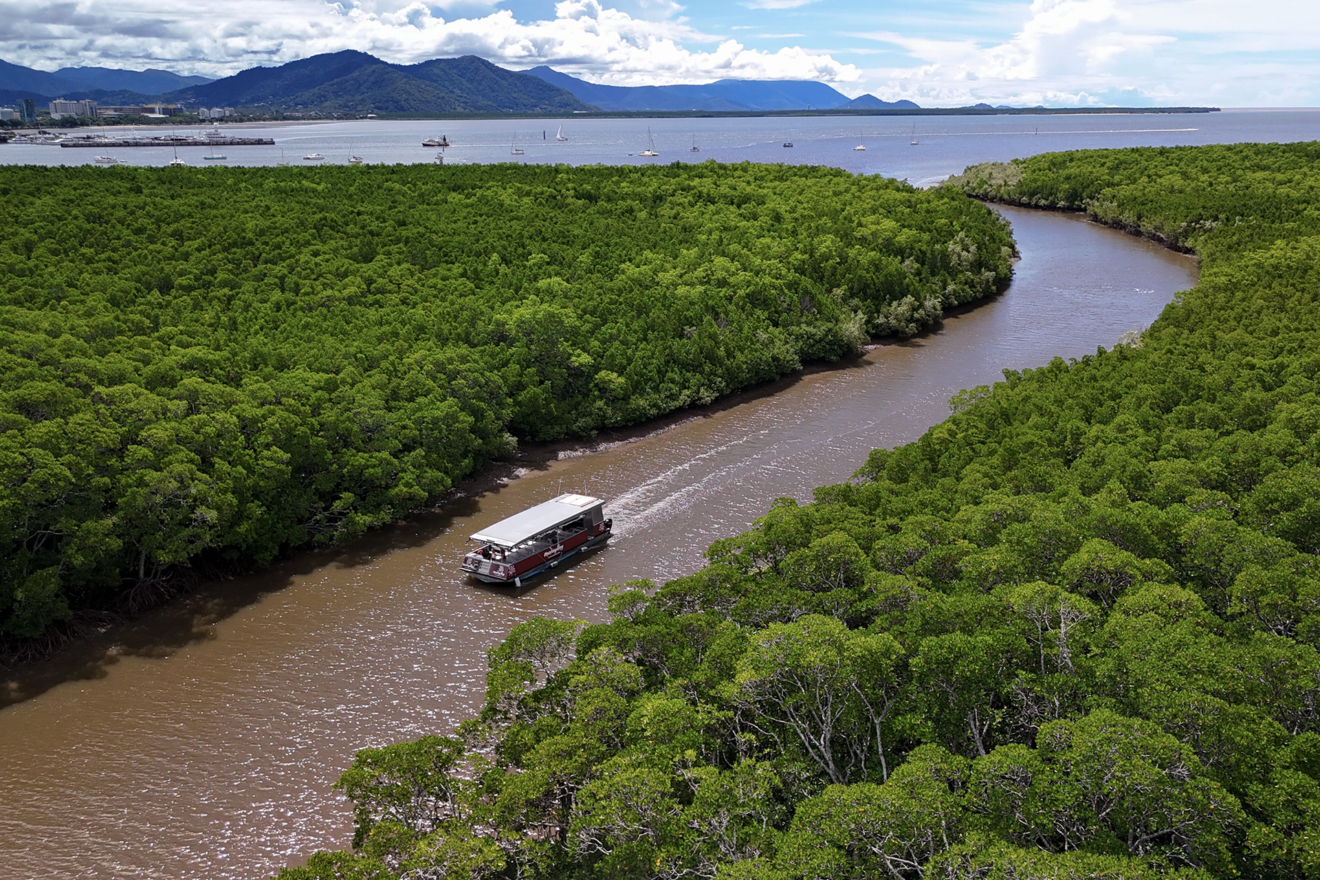 The tour boat cruises between mangrove forests to the traditional lands of the Mandingalbay Yidinji people