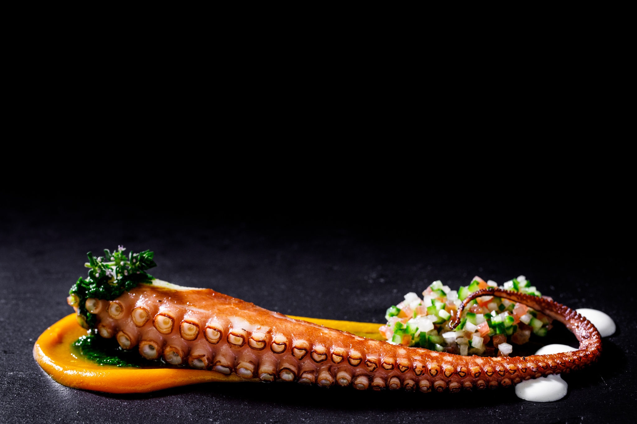 A cooked octopus tentacle with a mini side salad.